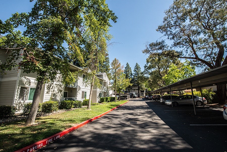 a tree lined street in front of a row of houses