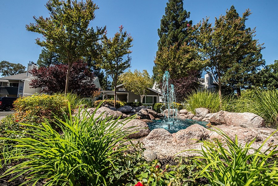 a pond in the middle of a yard with rocks and plants