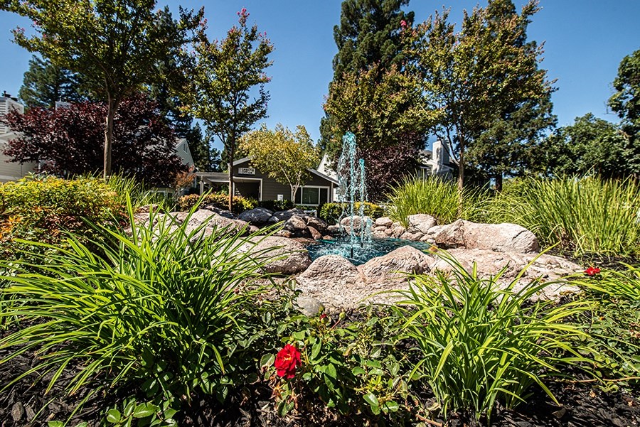 a fountain in the middle of a rock garden