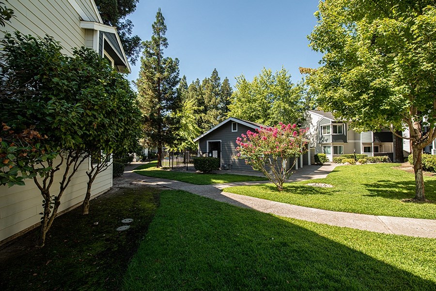 a view of a neighborhood with houses and trees