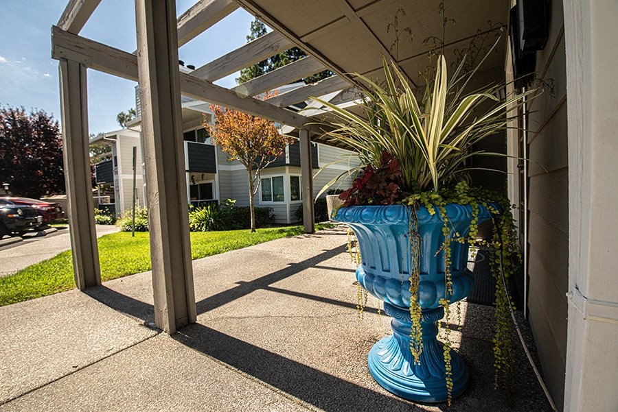 a large blue vase filled with plants on a sidewalk
