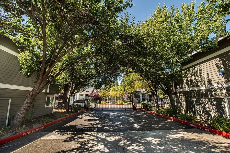 a parking lot with trees in front of a building