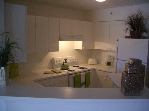 a white kitchen with a stove and a refrigerator