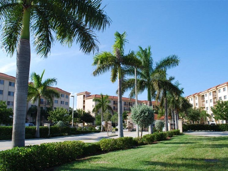 Laguna Pointe community exterior with palm trees