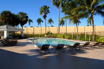 Oaks at Pompano resort style swimming pool lined with palm trees and lounge chairs