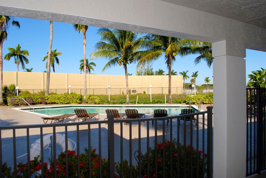 Oaks at Pompano resort style swimming pool lined with palm trees and lounge chairs1 at Oaks at Pompano, Pompano Beach, Florida