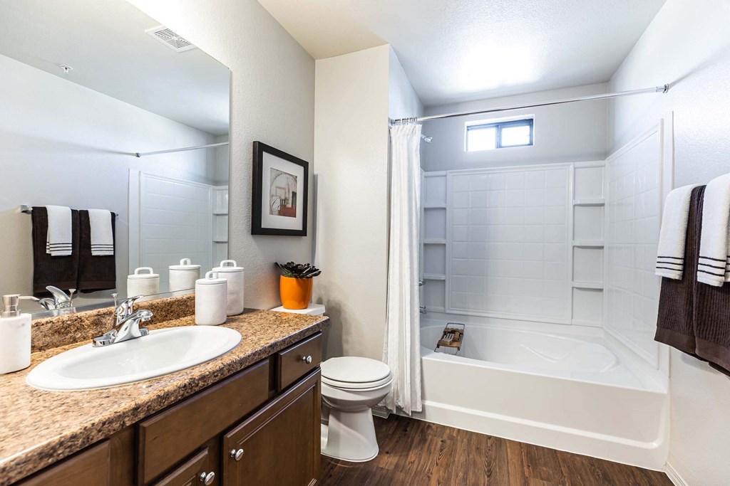 a bathroom with a sink toilet and a shower at EVERETT APARTMENT HOMES, Las Vegas, NV