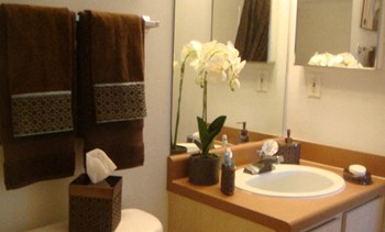 Bath sink vanity Carolina Club in Daytona Beach Florida - Photo Gallery 21