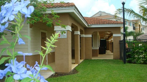 Grass near the building Hawks Landing in Fort Myers Florida