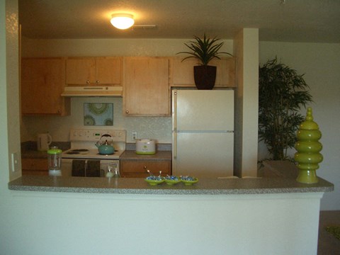 Kitchen with appliances at Hawk's Landing Apartments, Fort Myers, Florida