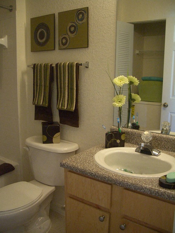 Bathroom sink vanity at Hawk's Landing Apartments, Florida, 33907