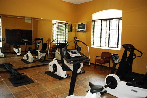 a gym with treadmills and other exercise equipment