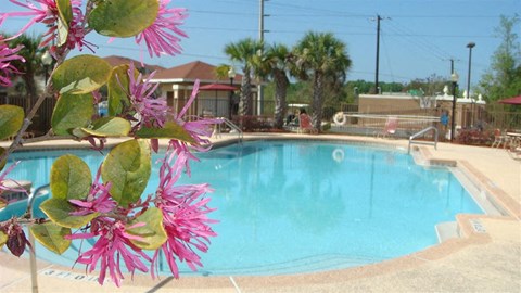 Pool with lounge chairs at Hunters Run, Middleburg, 32068
