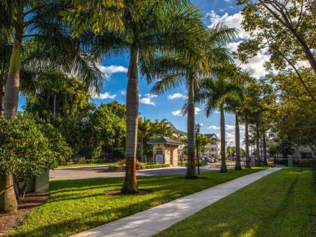 mature landscaping and palm trees at Valencia Pointe, Florida