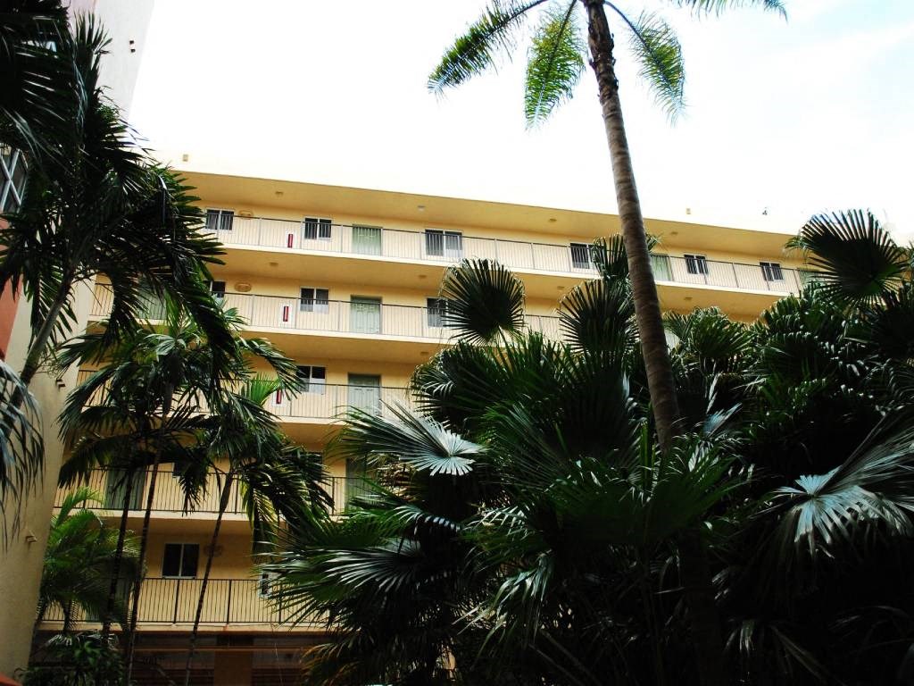 palm trees and walk ways at Villa Hermosa, Miami, FL
