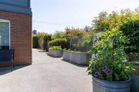 a patio with plants and a bench at Webster Court Senior Apartments, Kent, Washington