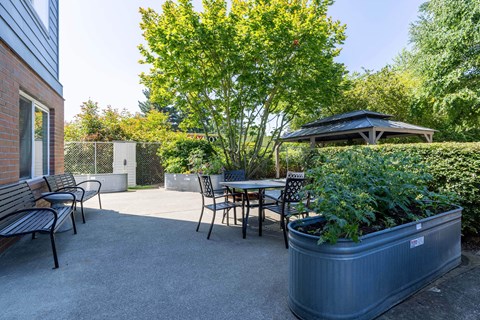 a patio with tables and chairs and a gazebo at Webster Court Senior Apartments, Kent, WA 98032