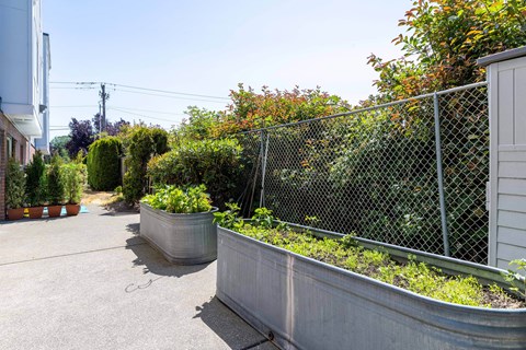 a courtyard with a fence and planters with plants at Webster Court Senior Apartments, Kent, WA