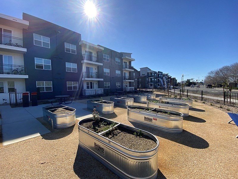 Courtyard View at 38° NORTH, Santa Rosa