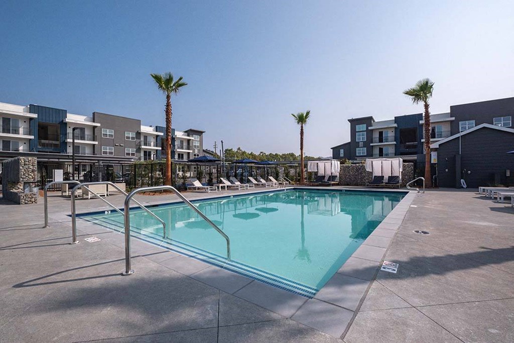 a resort style pool with chaise lounge chairs and palm trees at 38° NORTH, Santa Rosa