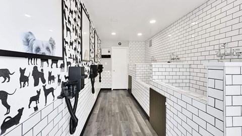 A bathroom with a white tile wall and a black and white dog mural.
