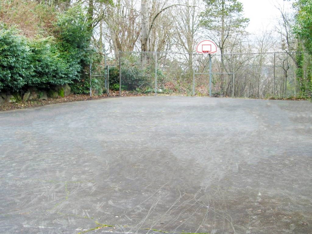 a basketball court in the middle of a forest at Whisperwood, Washington