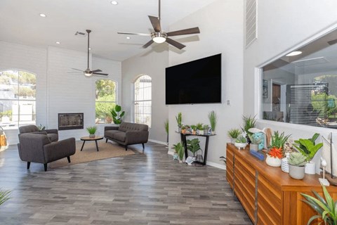 A living room with a grey couch, a black TV, and a wooden cabinet with plants on it.