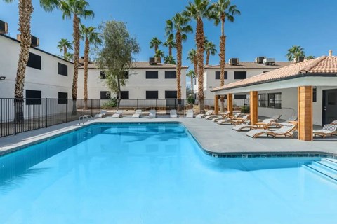 A swimming pool surrounded by palm trees and lounge chairs.