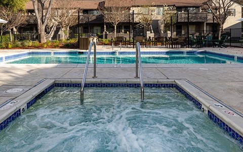 Pet-Friendly Apartments in Pleasant Hill CA - Ellinwood - Sparkling Pool