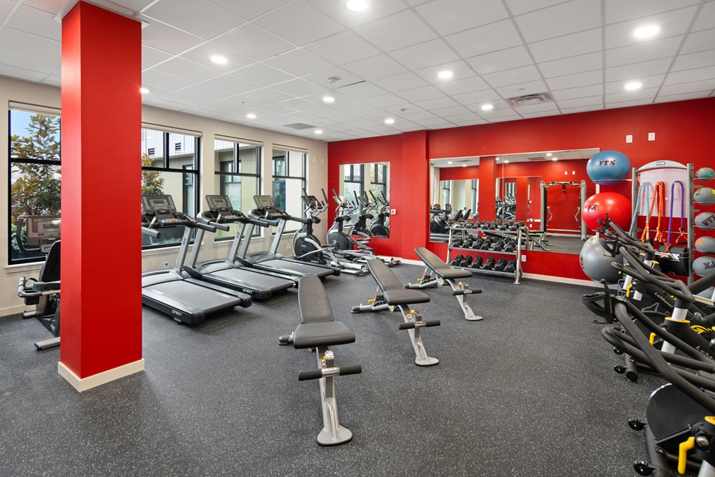 Fitncess Center with treadmills, benches, and other equipment.