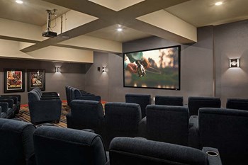 Movie room with seating  - Photo Gallery 12