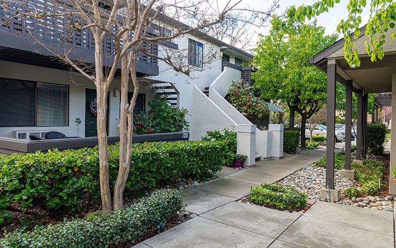 Exterior view of building with landscape and sidewalk