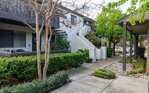 Exterior view of building with landscape and sidewalk