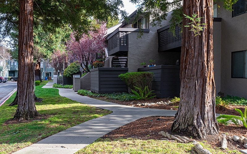 Exterior view of building with landscape and sidewalk