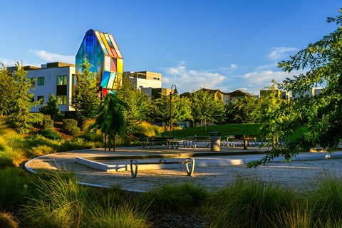 a park with a fountain and buildings in the background
