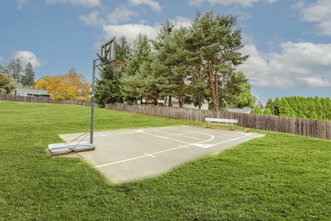 Apartments in Sherwood, OR- Township Sherwood- Basketball Court with Bench and Various Trees