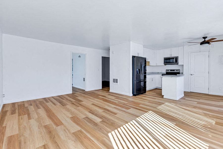 Living and kitchen area