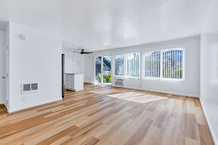 Living room and kitchen with wood floors