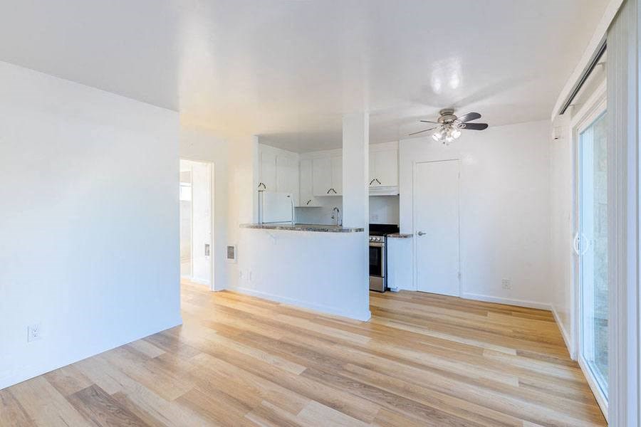 Living room and kitchen area