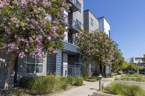 Exterior building view with landscape and sidewalk