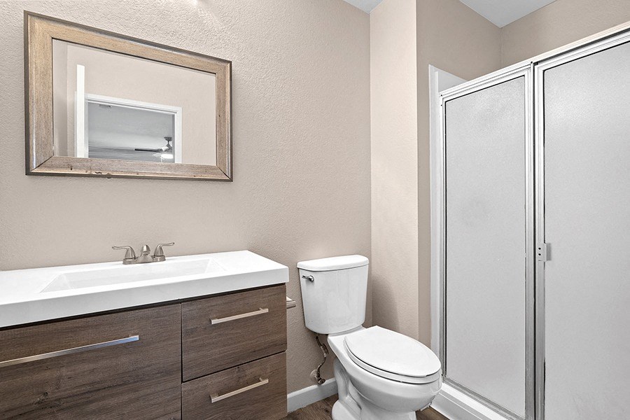 Bathroom vanity and shower