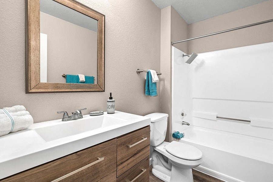 Bathroom vanity and shower