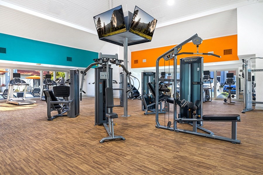 Fitness room with weights and cardio equipment