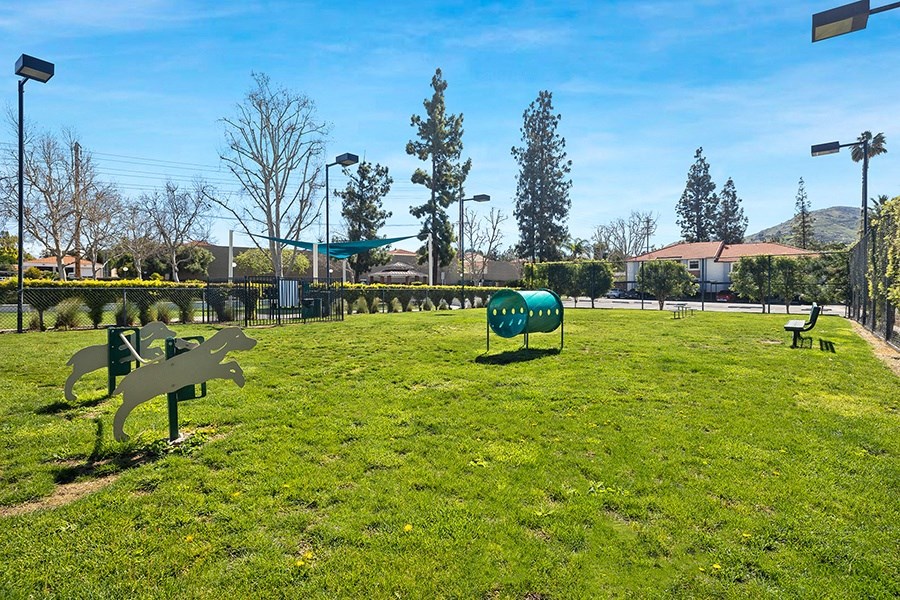 Dog park with grass and toys