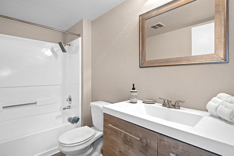 Bathroom vanity and shower
