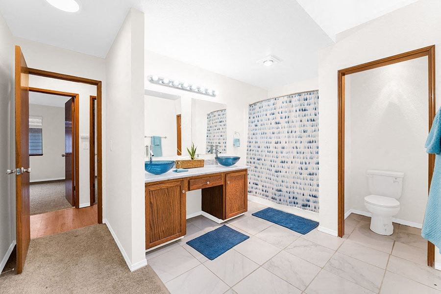 bathroom with vanity and sinks
