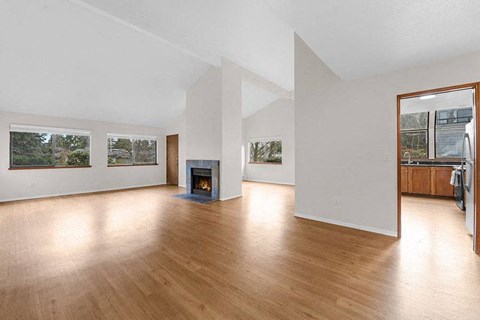 Living room with fireplace and kitchen area