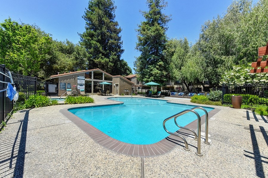 Pet-Friendly Apartments in San Jose, CA- Villas Willow Glen- Sparkling Pool, Sun Lounge Chairs, and Landscaping