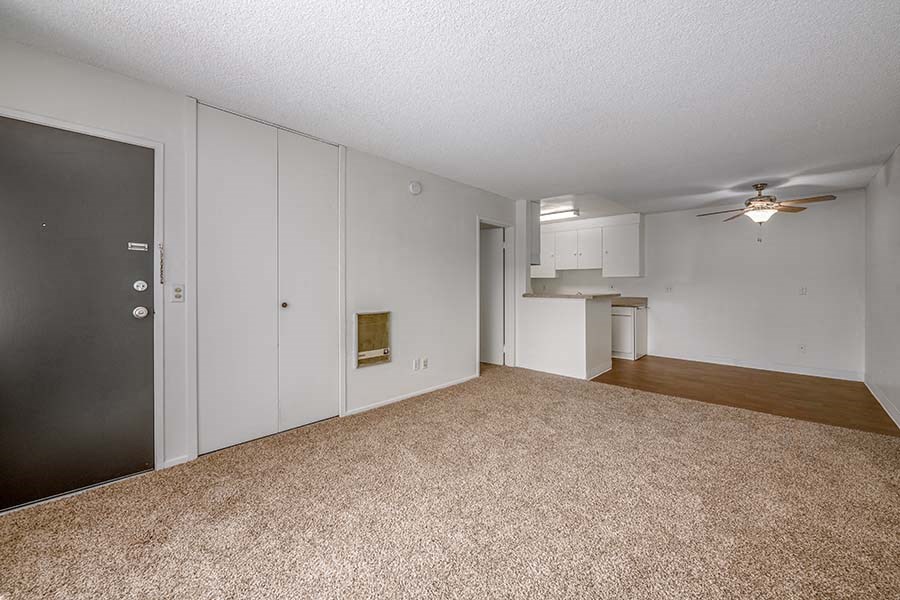 Living room and dining area 