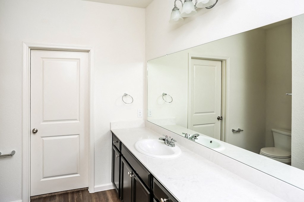 a bathroom with a large mirror and a sink